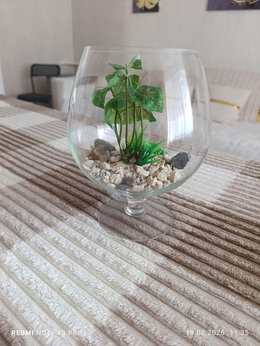 Аквариум для рыбок 3,5 литра