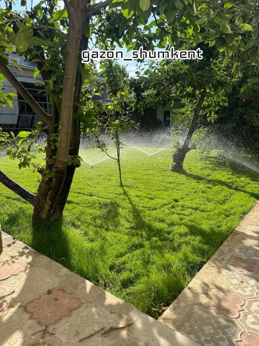 Газон Автопалив ландшафтный дизайн