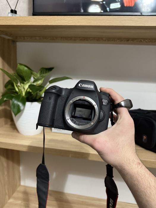 Canon 6D + Canon 70-200 Usm