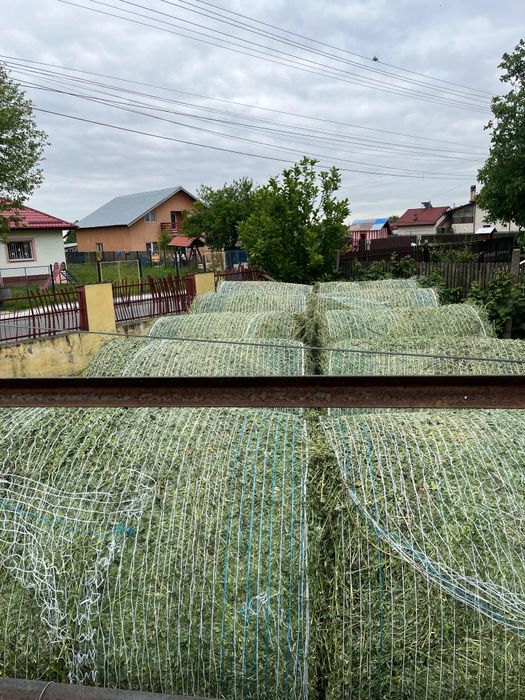 Vindem baloti rotunzi de  lucernă 2025