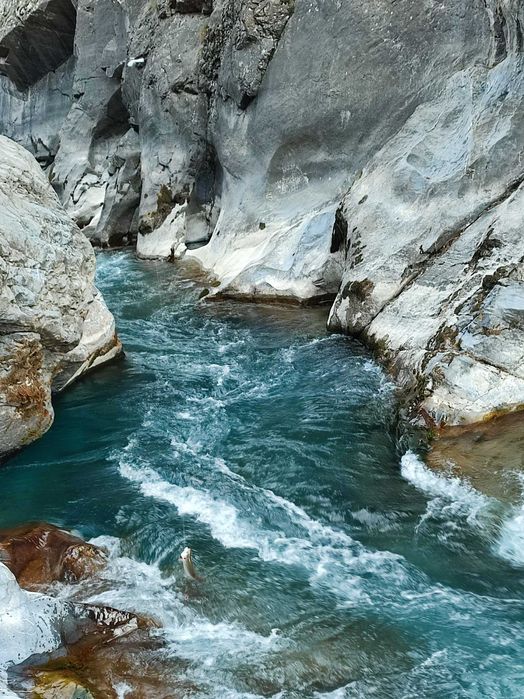 Походы индивидуальные и рыболовные туры по горам Узбекистан