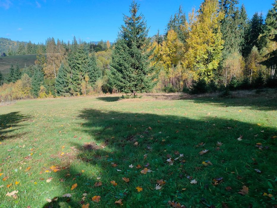 Teren de vanzare Saru Dornei