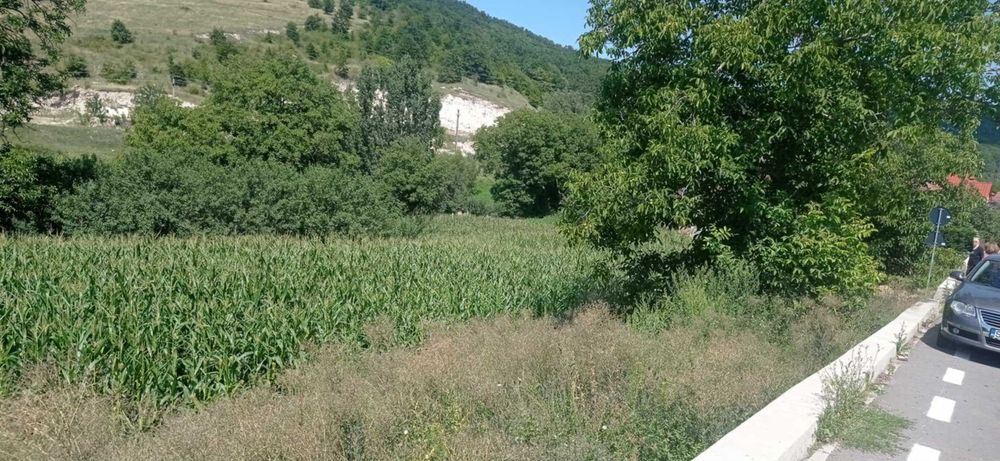 Teren intravilan 16 ari în Ortelec (Zalău) | Front 25 m | Utilități la drum