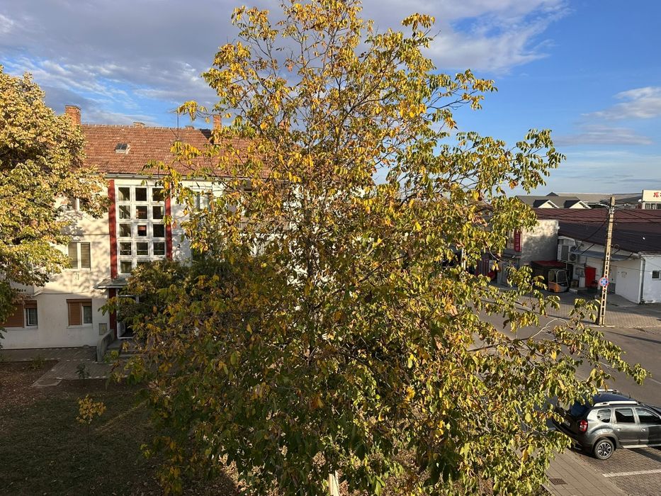 Apartament – Ludus - Vedere 2