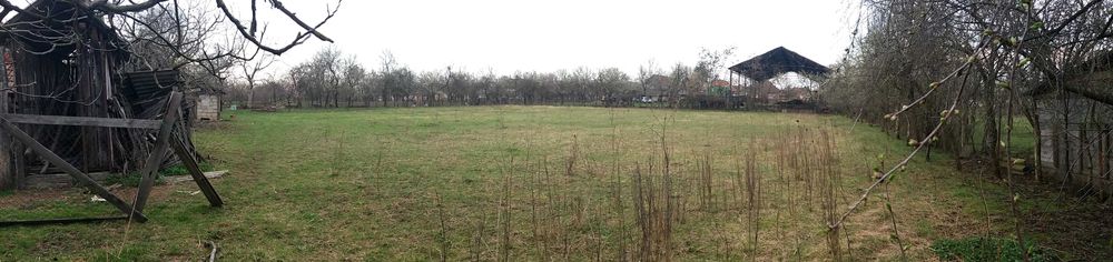 Casă Cermei central Front stradal 50 m, teren 2880 mp, dependințe