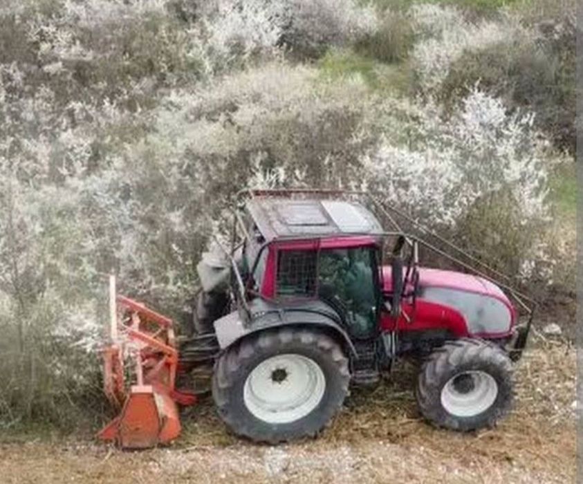 Defrișare/evacuare vegetatie necontrolată