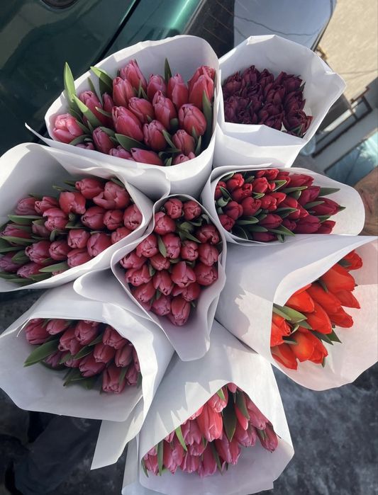 Голландские тюльпаны