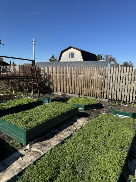 Продам дачу общество Вишенка / Гудок