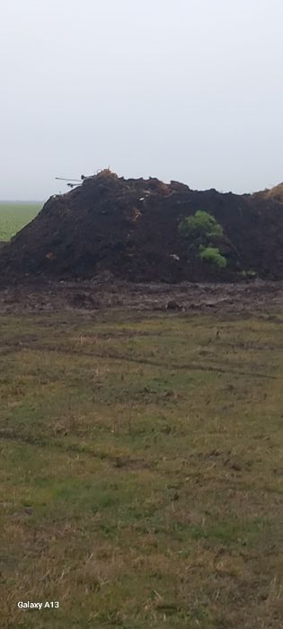 gunoi de VACI putred și proaspăt