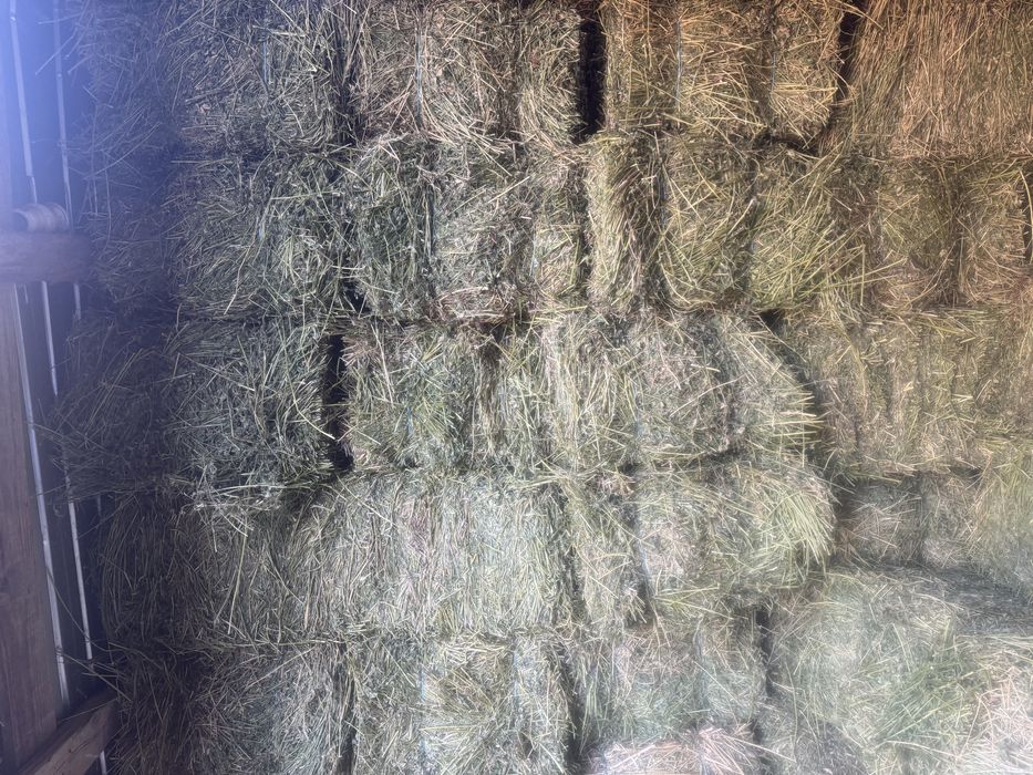 Baloti lucerna si fan prima coasa si a doua coasa si paie