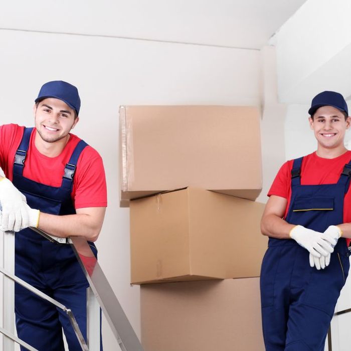 Услуги Грузоперевозки Грузчики