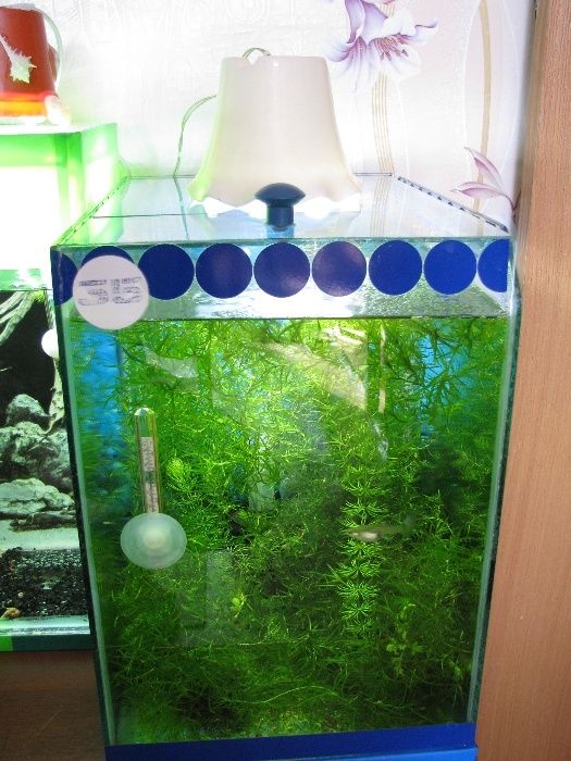 Освещение в аквариум