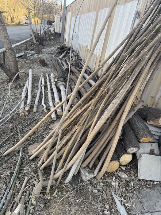 Самовывоз деревья спил на дрова