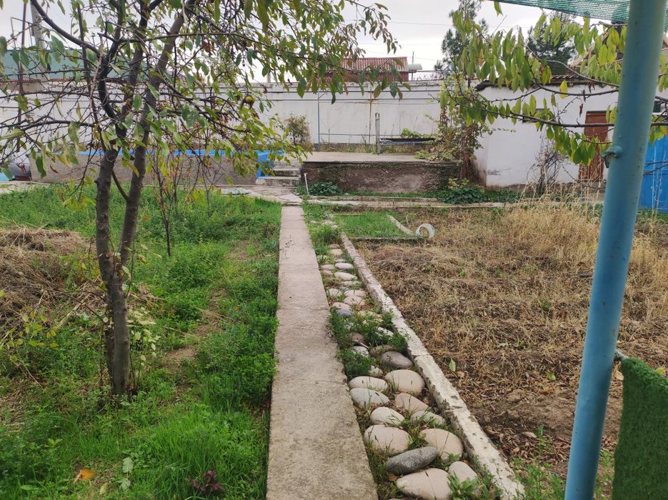 Дала ховли 7 сотик