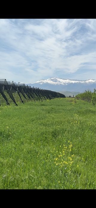 Тайёр бизнес сотилади