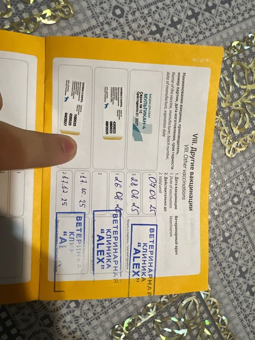 Дратххар 6 месяцев