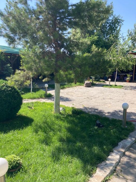 Сдаётся кафе летник в аренду