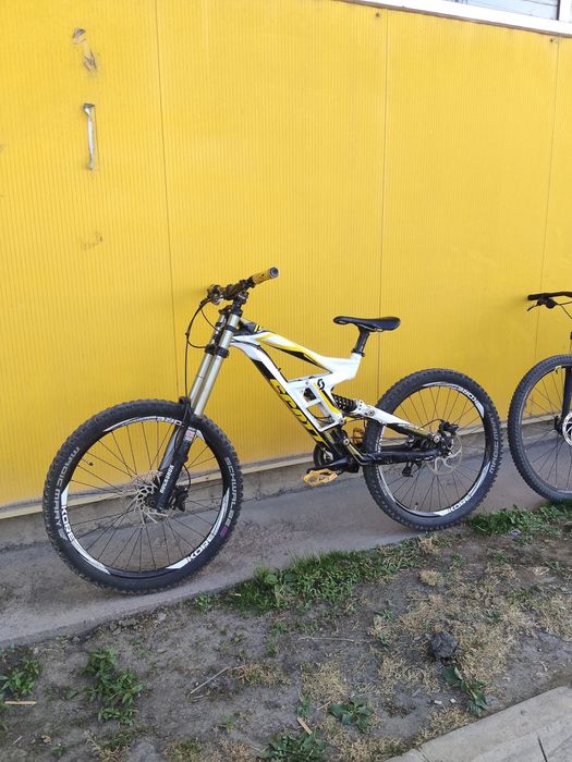 Scott gambler 10