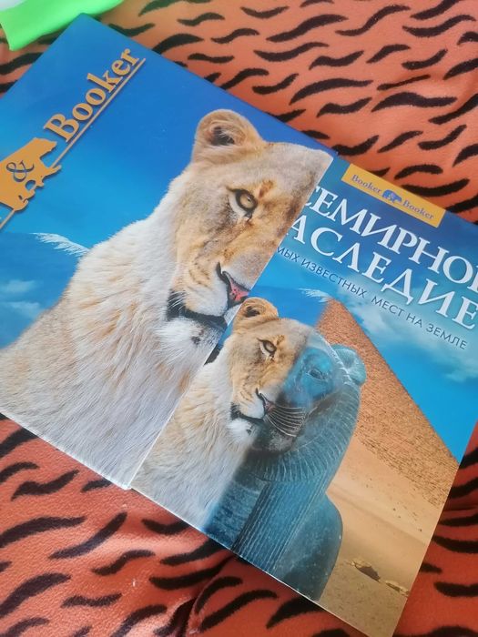 Новая книга подарок