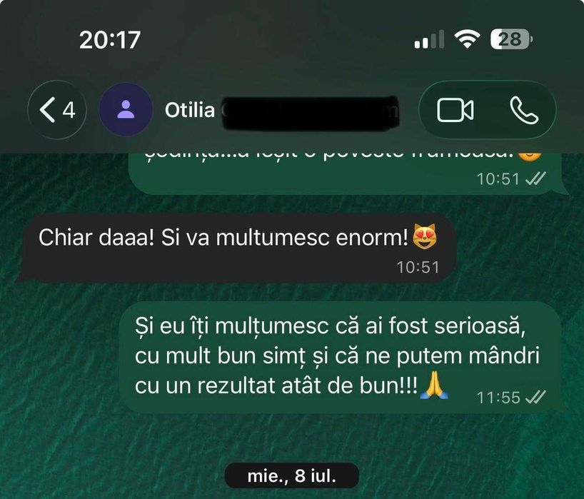 Meditații online Română – BAC și Evaluare Națională