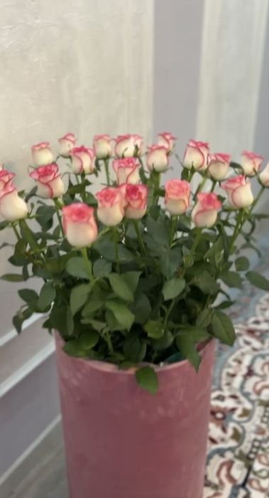Цветы свежие 31 роза