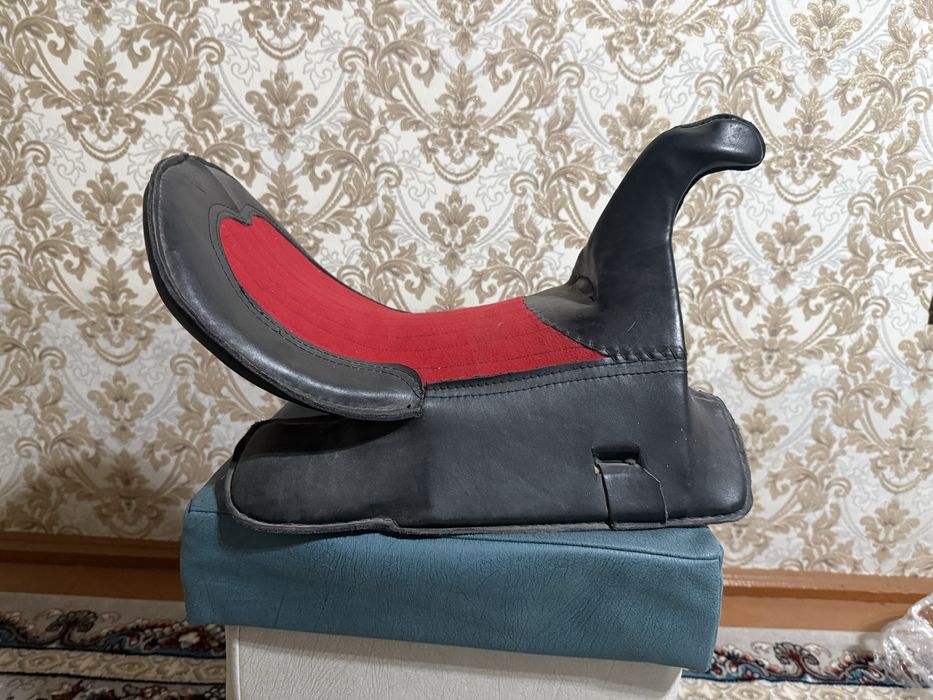 Отни босмайдигон ишонарли Эгар