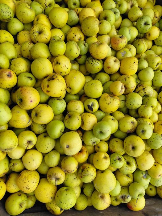 Mere calitatea a II a