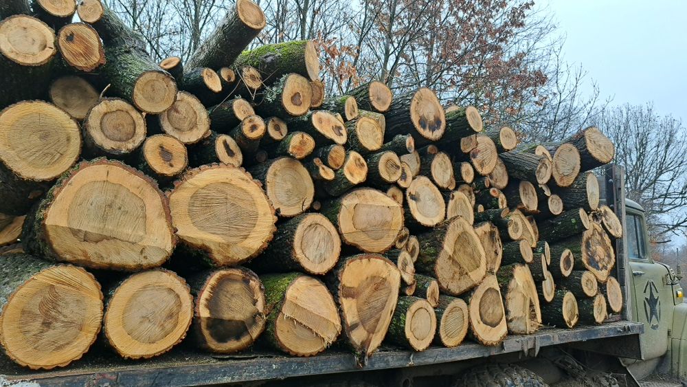 Дърва за огрев метрови.!