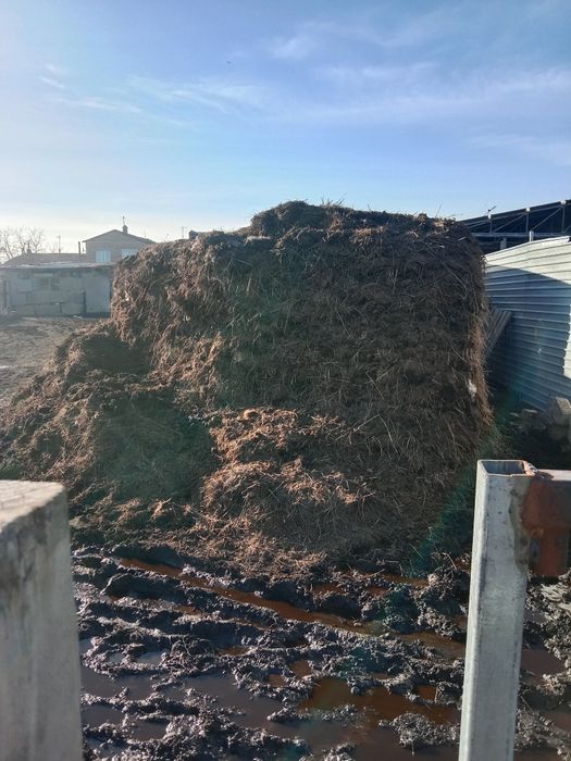 Перегной навоз город сарань