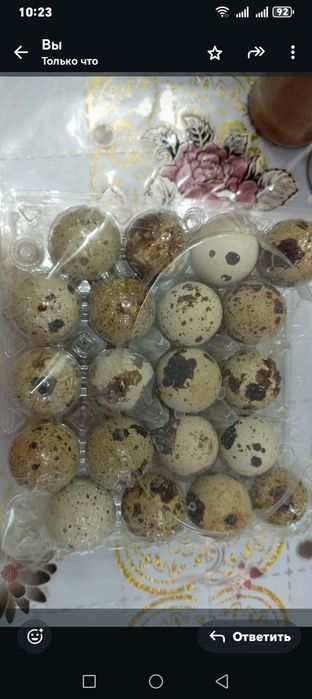 Бөдене жұмыртқасы сатылады свежий