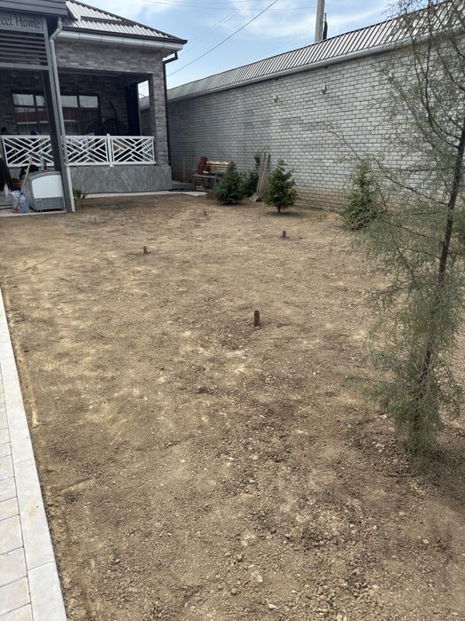 Газон готовый рулон оптом нархда