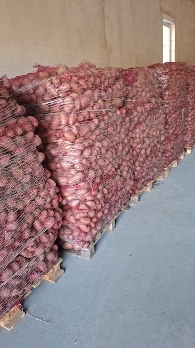 Vând cartofi orice cantitate la preturi  convenabile