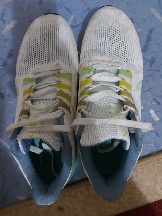 Кроссовки зум пегасус 40