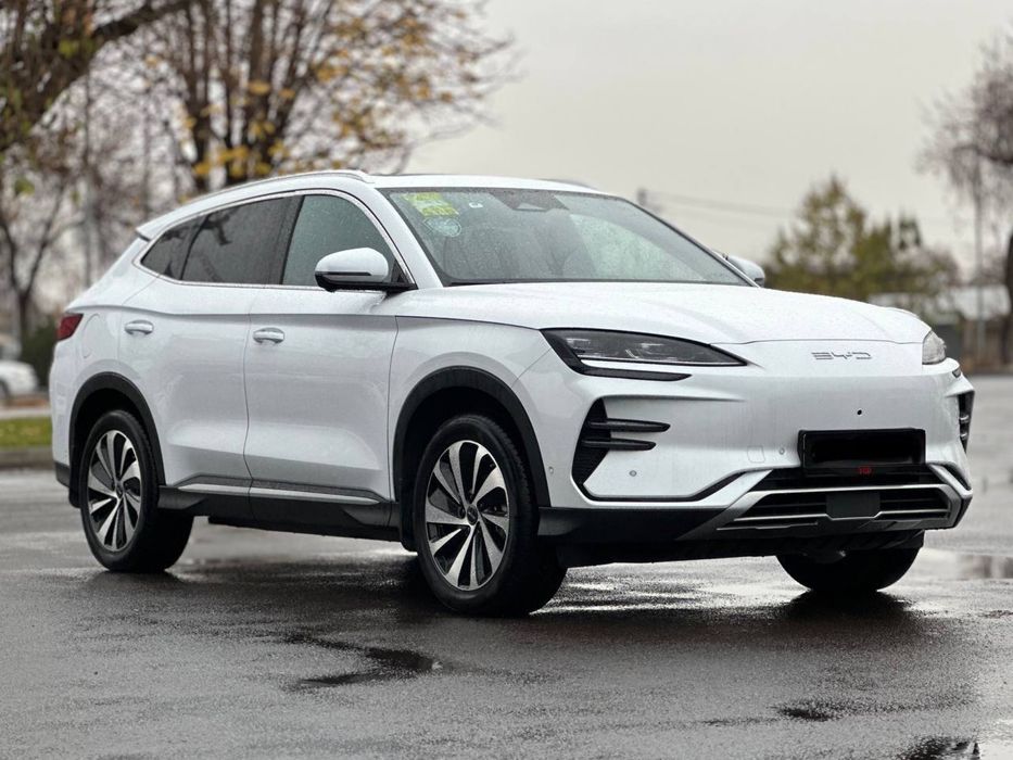 •BYD Champion 605 •