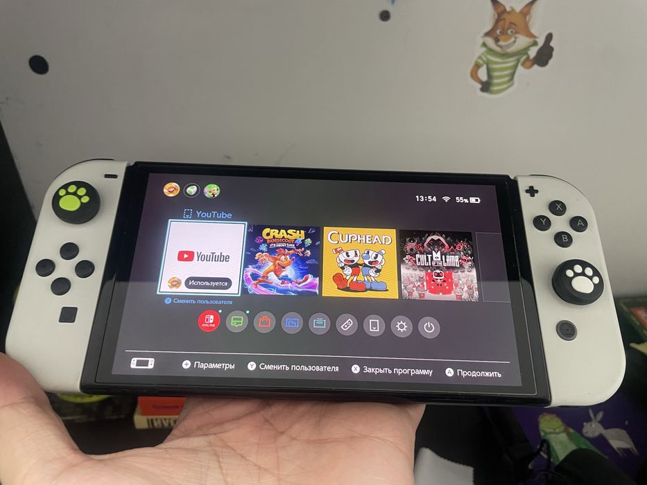 Нинтенто switch идеально жасайд