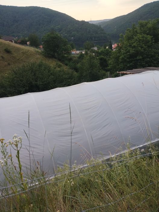 Solarii import Ungaria ieftine profesionale