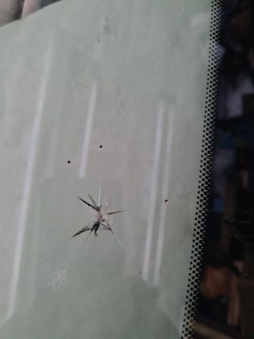 РЕМОНТ!Сколов,Трещин.Выезд!