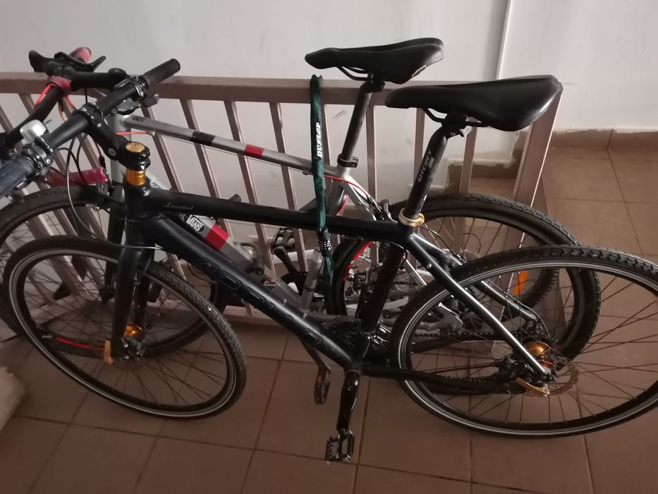 Bicicleta  de oras