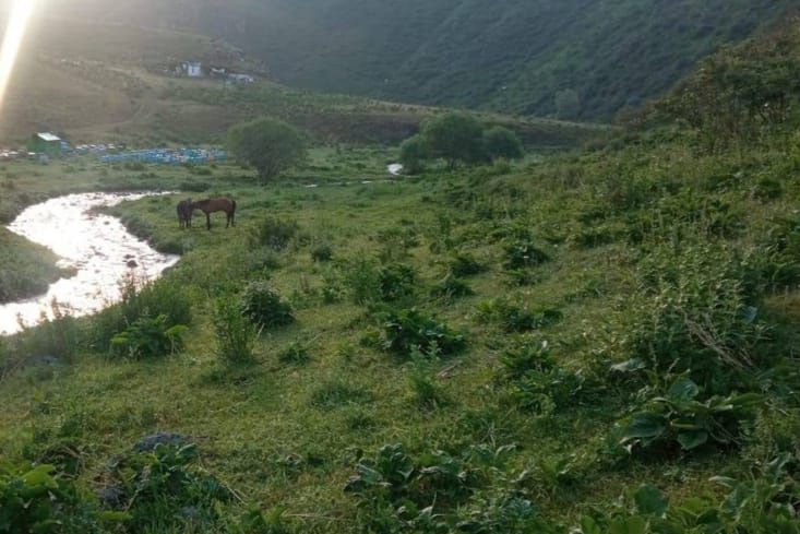 Высокогорный МЁД