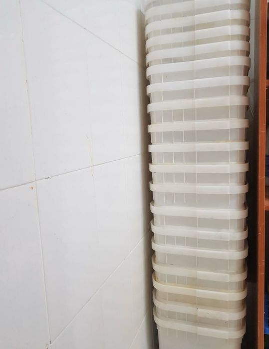 Пластиковый куботейнер 12 л