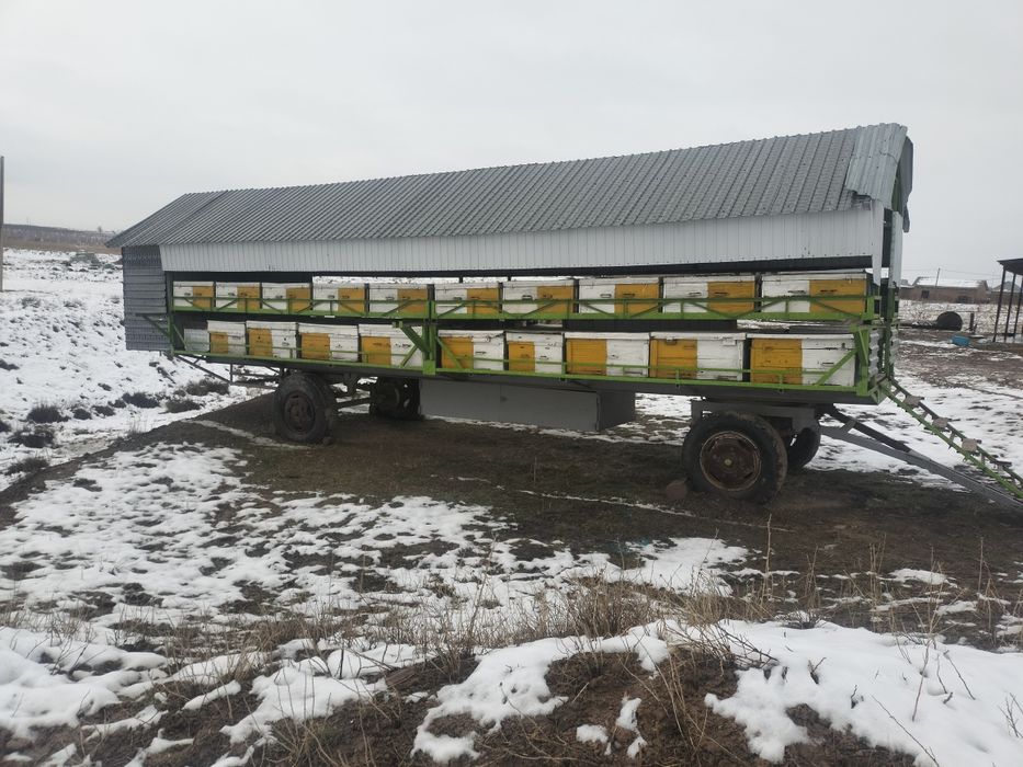 Продам пчелоприцеп