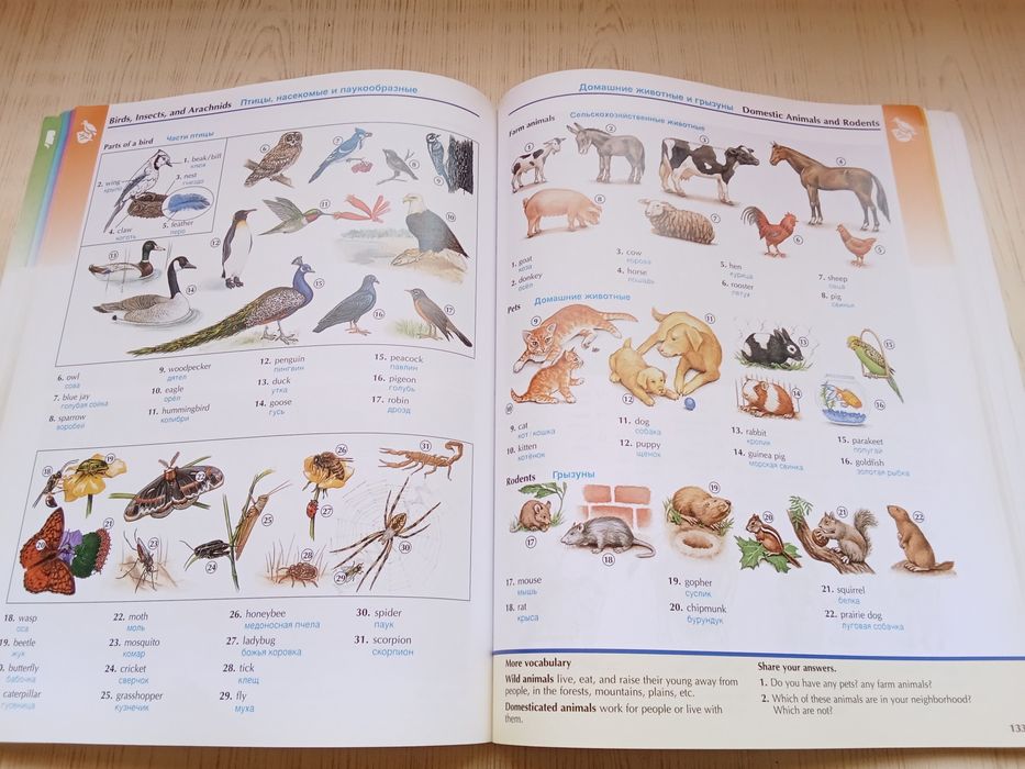 Словарь The Oxford picture dictionary