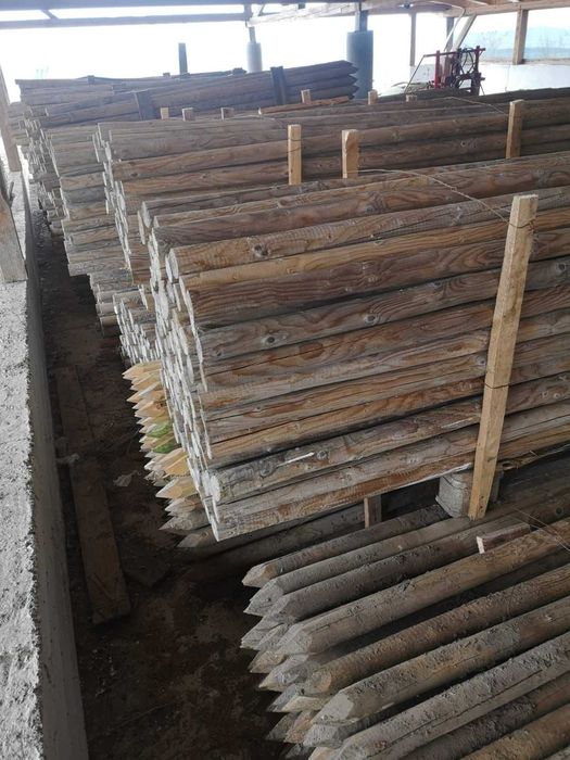 Stâlpi lemn impregnați molid 2,5 m Ø6 cm – tutori livadă / vie