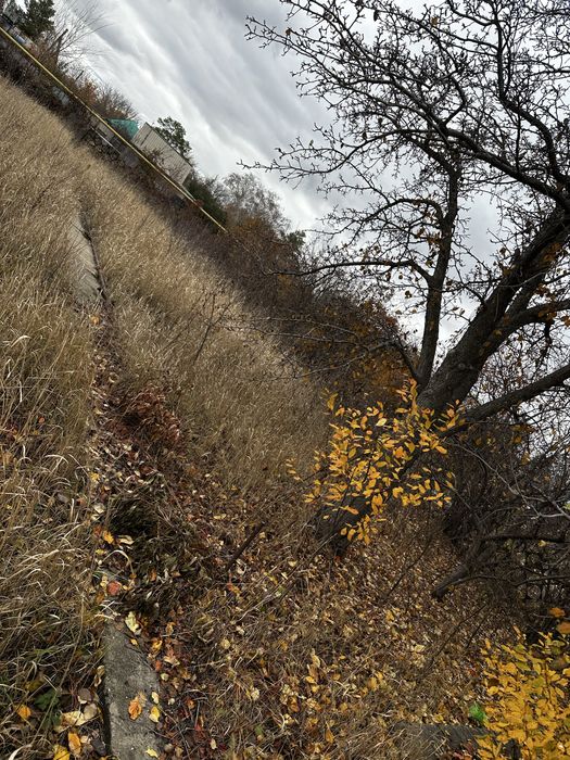 Продам дачный участок