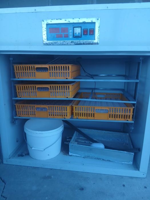 инкубатор для яиц