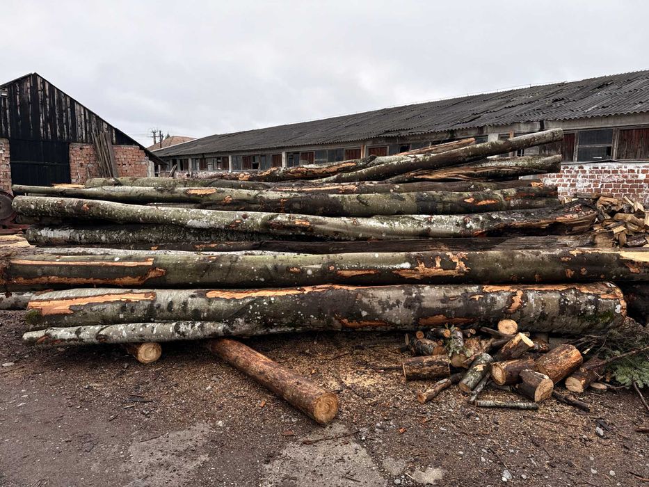 OFERTĂ ANUL NOU - Lemn de foc fag și carpen, tăiat și livrat în Teaca