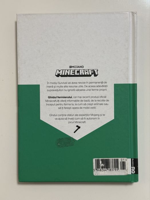 Minecraft carte pentru copii
