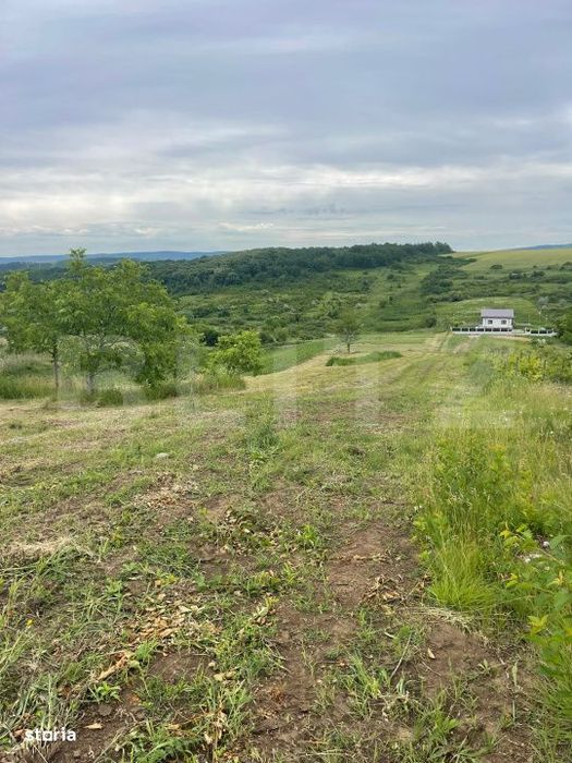 Teren 500 mp intravilan Valea Ursului-