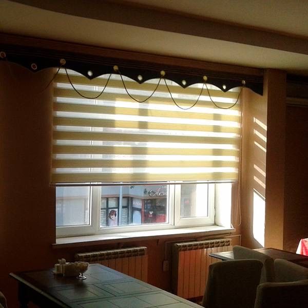 Жалюзи Ролл Шторы День Ночь