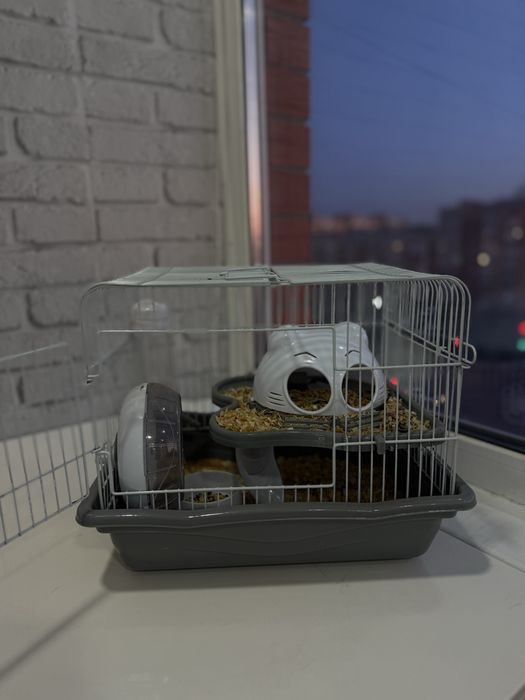 клетка для хомяка